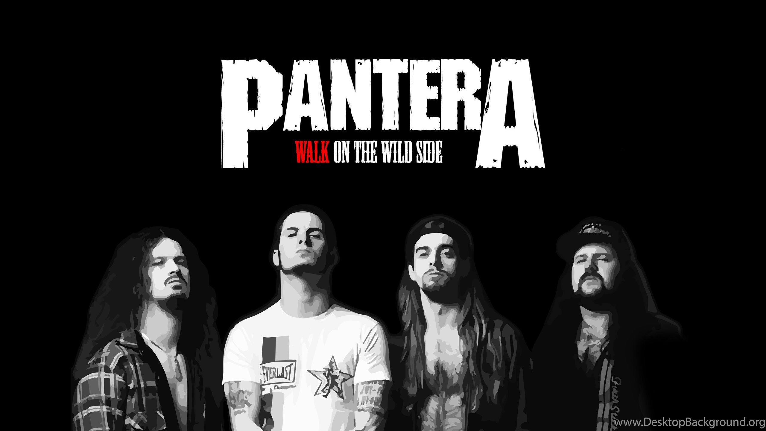 Alice In Chains Pantera - HD Wallpaper 