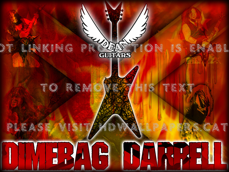 Dimebag Darrell Pantera Metal Music - Pantera Background - HD Wallpaper 