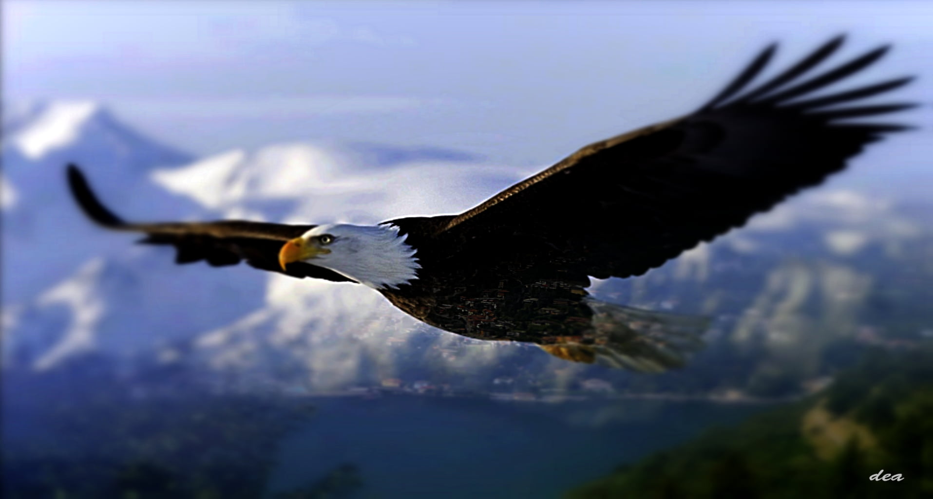 eagle rock 4th of july