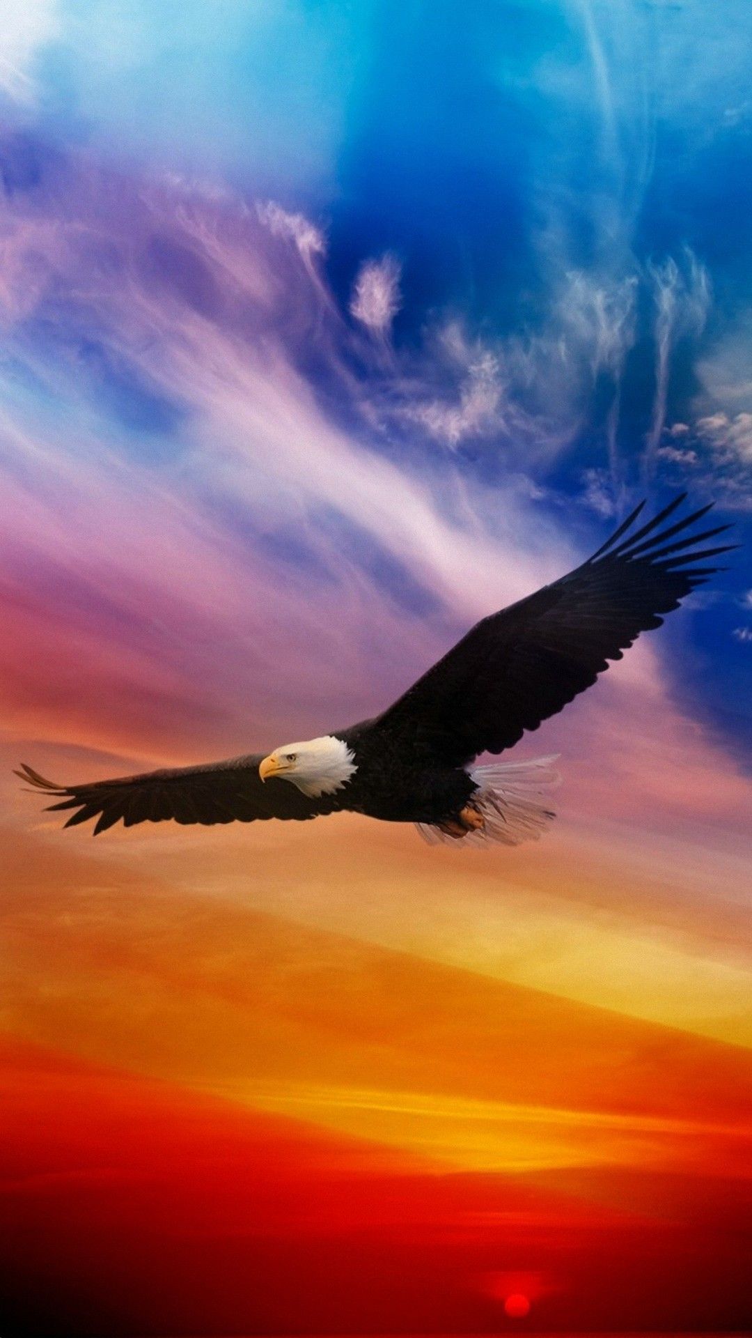 American Eagle Wallpapers - Eagle Wallpaper Iphone - HD Wallpaper 