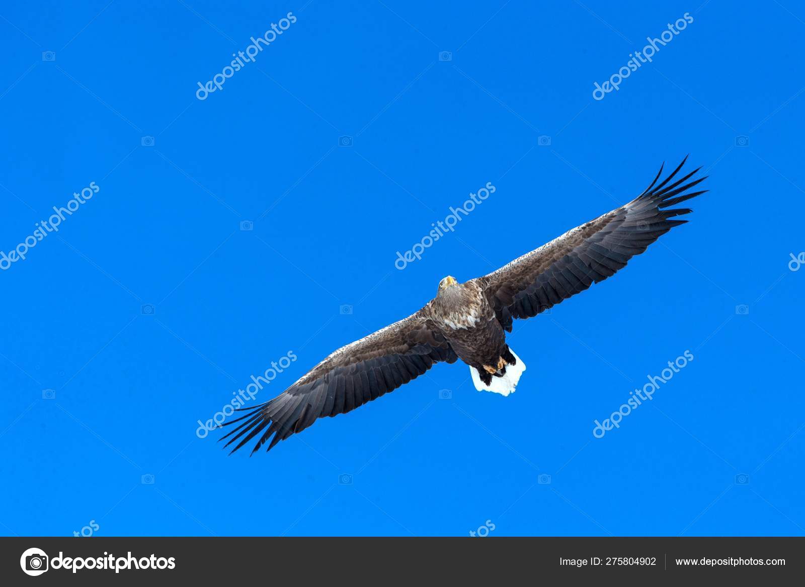 Bali Playa Batu Bolong - HD Wallpaper 