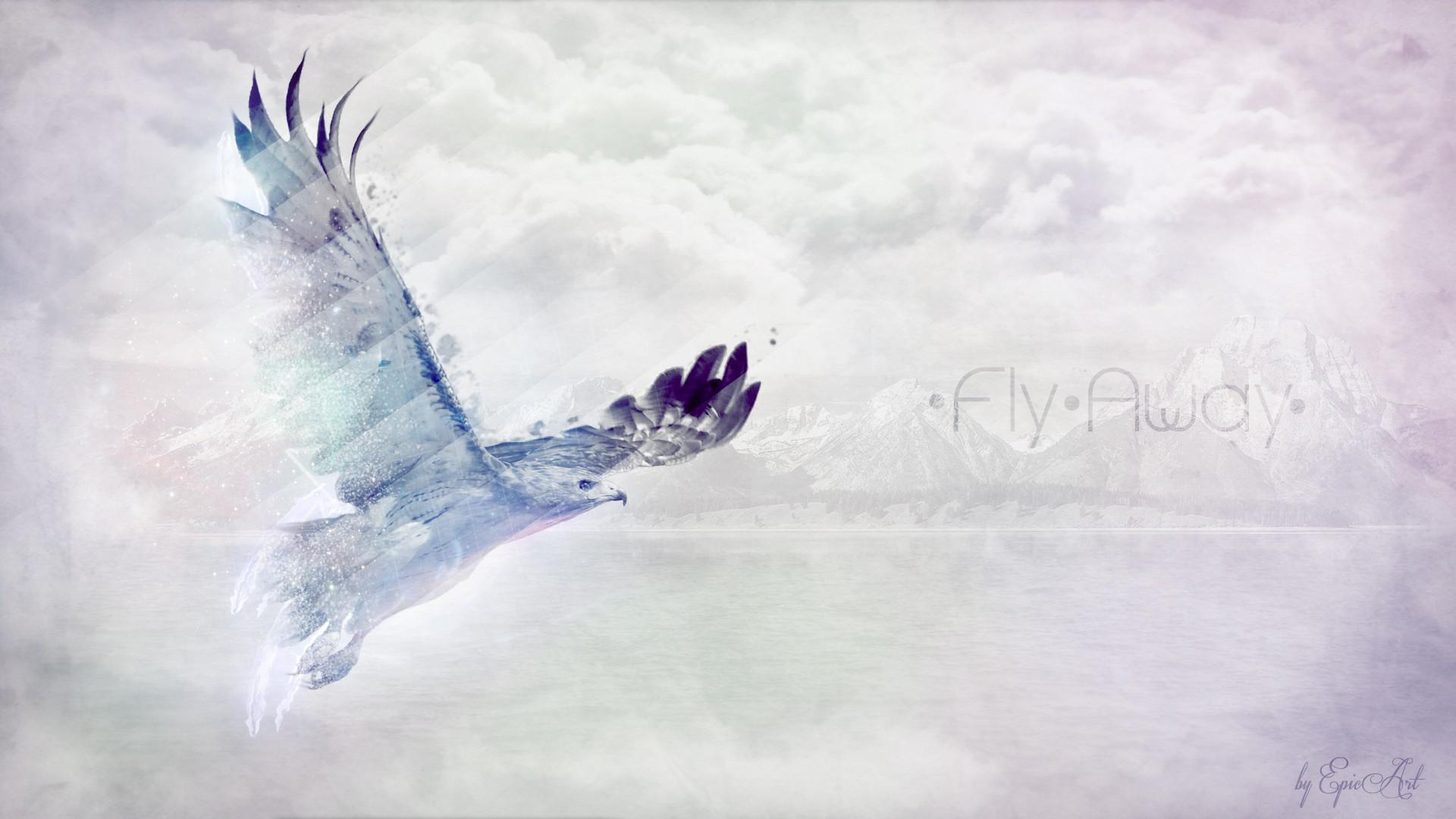 Hd Light Water Eagles Fly Away Photo Manipulation Colors - HD Wallpaper 