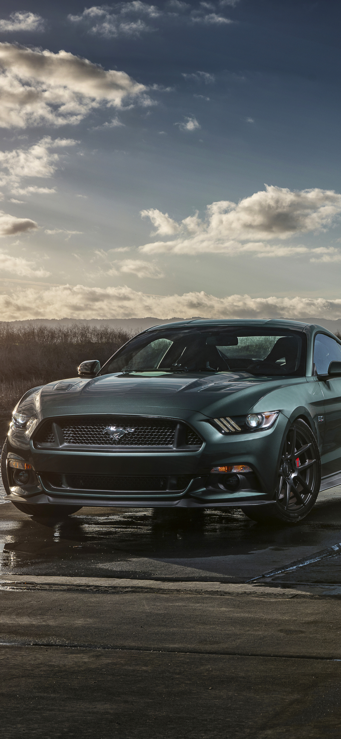 Ford Mustang Gt Wallpaper For Mobile - HD Wallpaper 