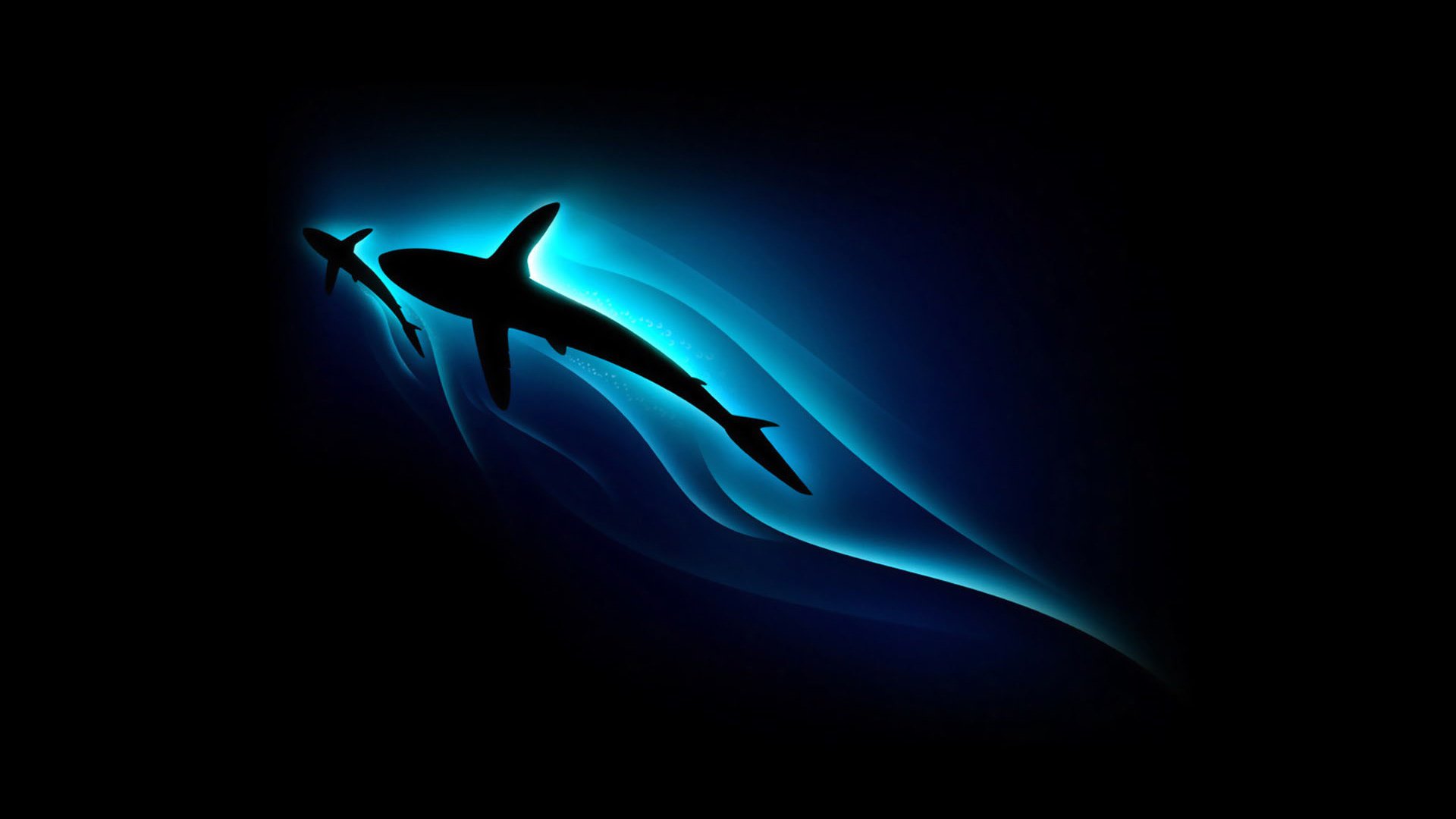 Cool Shark Background - HD Wallpaper 