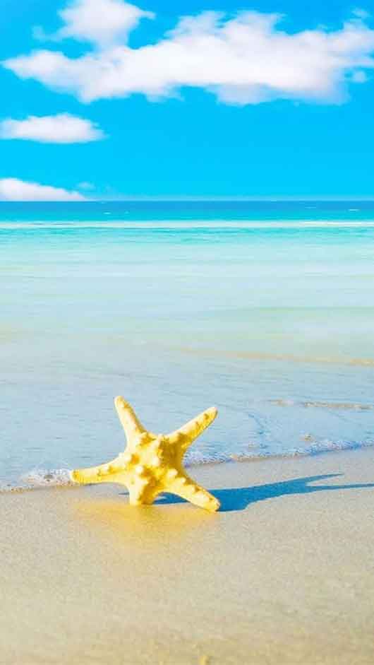 Summer Beach Iphone 5 Wallpapers - Iphone Wallpaper Summer Beach - 530x941 Wallpaper Summer Beach Iphone 5 Wallpapers - Iphone Wallpaper Summer Beach - 530x941 Wallpaper