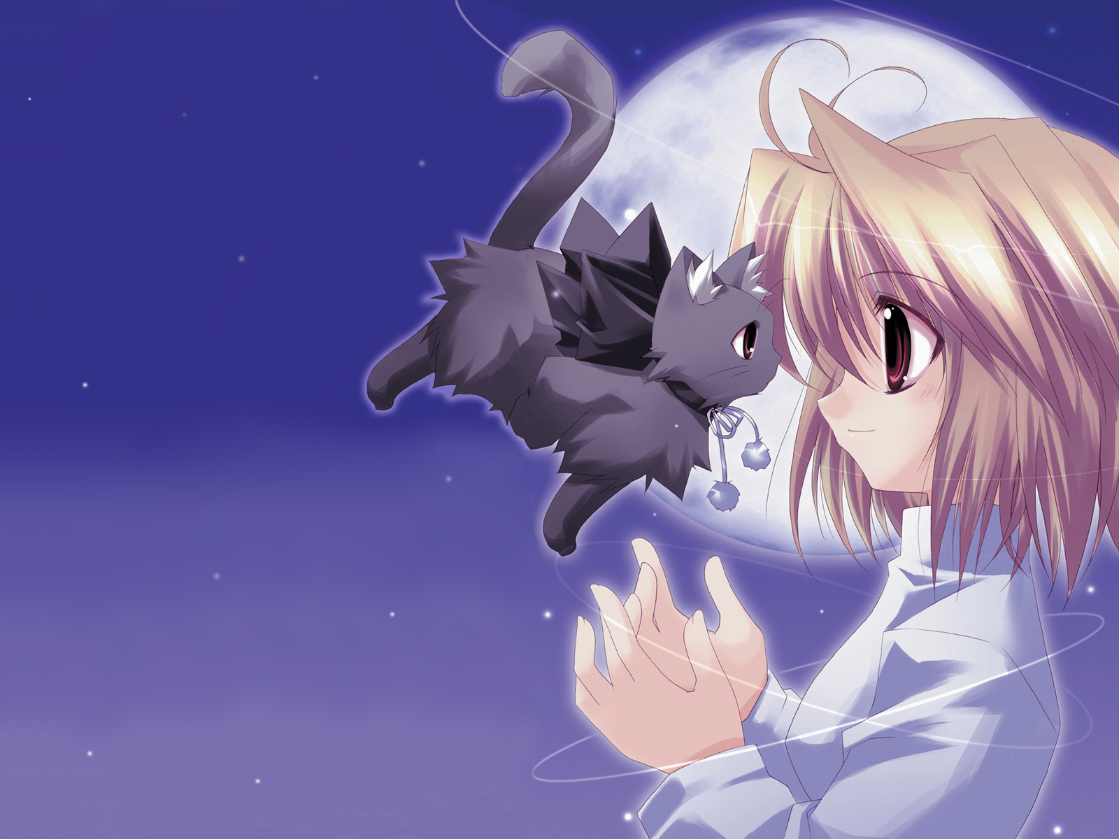 Cute Anime Cat Wallpaper - Cute Wallpaper Anime - HD Wallpaper 