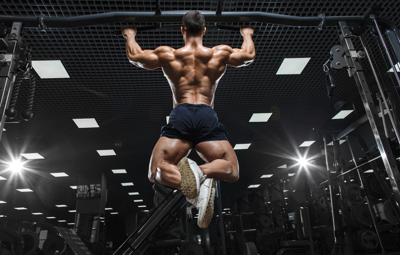 Photo Wallpaper Back, Muscle, Muscle, Back, Workout, - Ασκησεισ Για Φτερα - 1332x850 Wallpaper Photo Wallpaper Back, Muscle, Muscle, Back, Workout, - Ασκησεισ Για Φτερα - 1332x850 Wallpaper