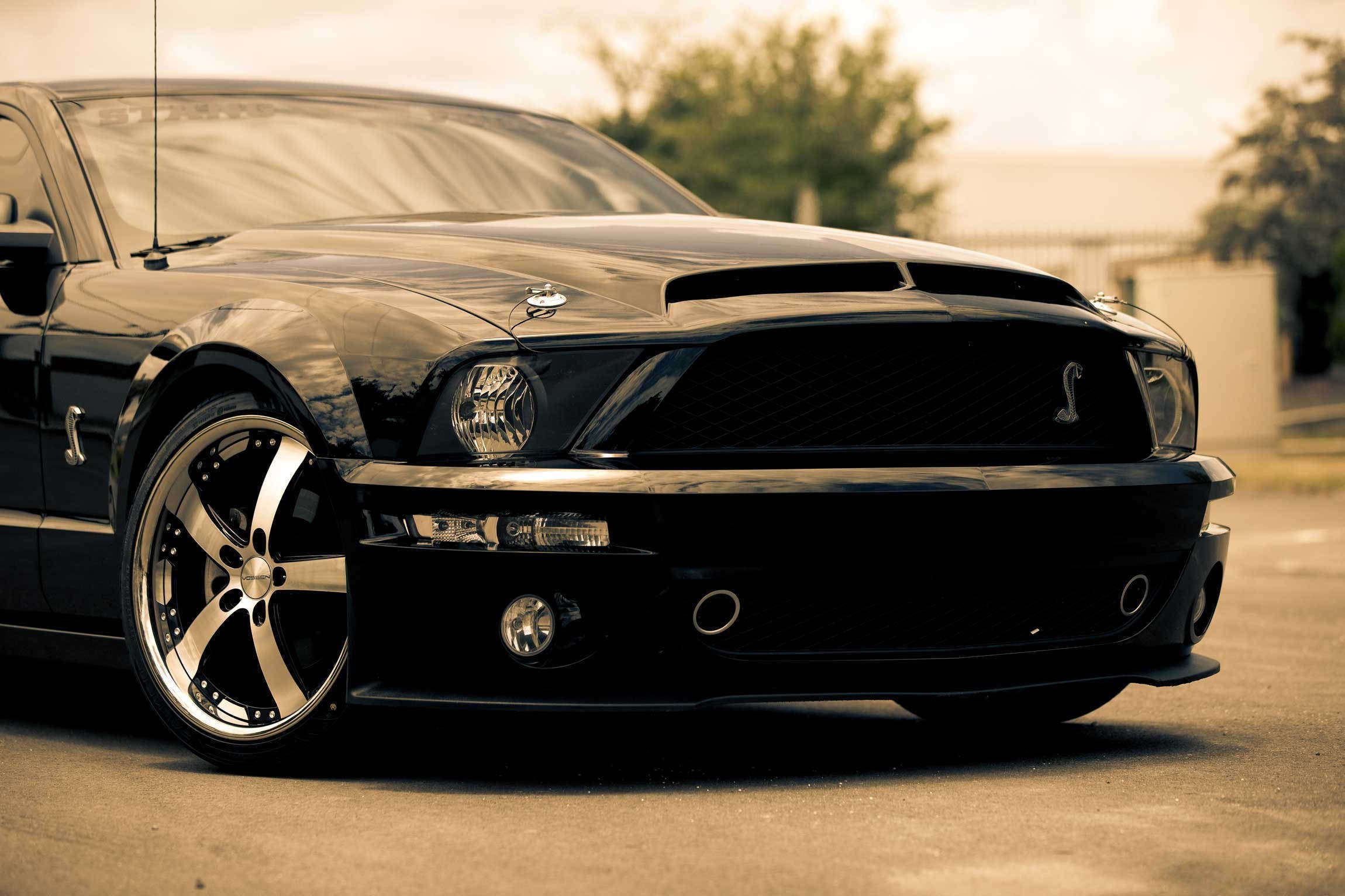 Car Muscle Cars Ford Mustang Gt Ford Mustang Wallpapers - Ford Mustang Wallpapers Hd - HD Wallpaper 