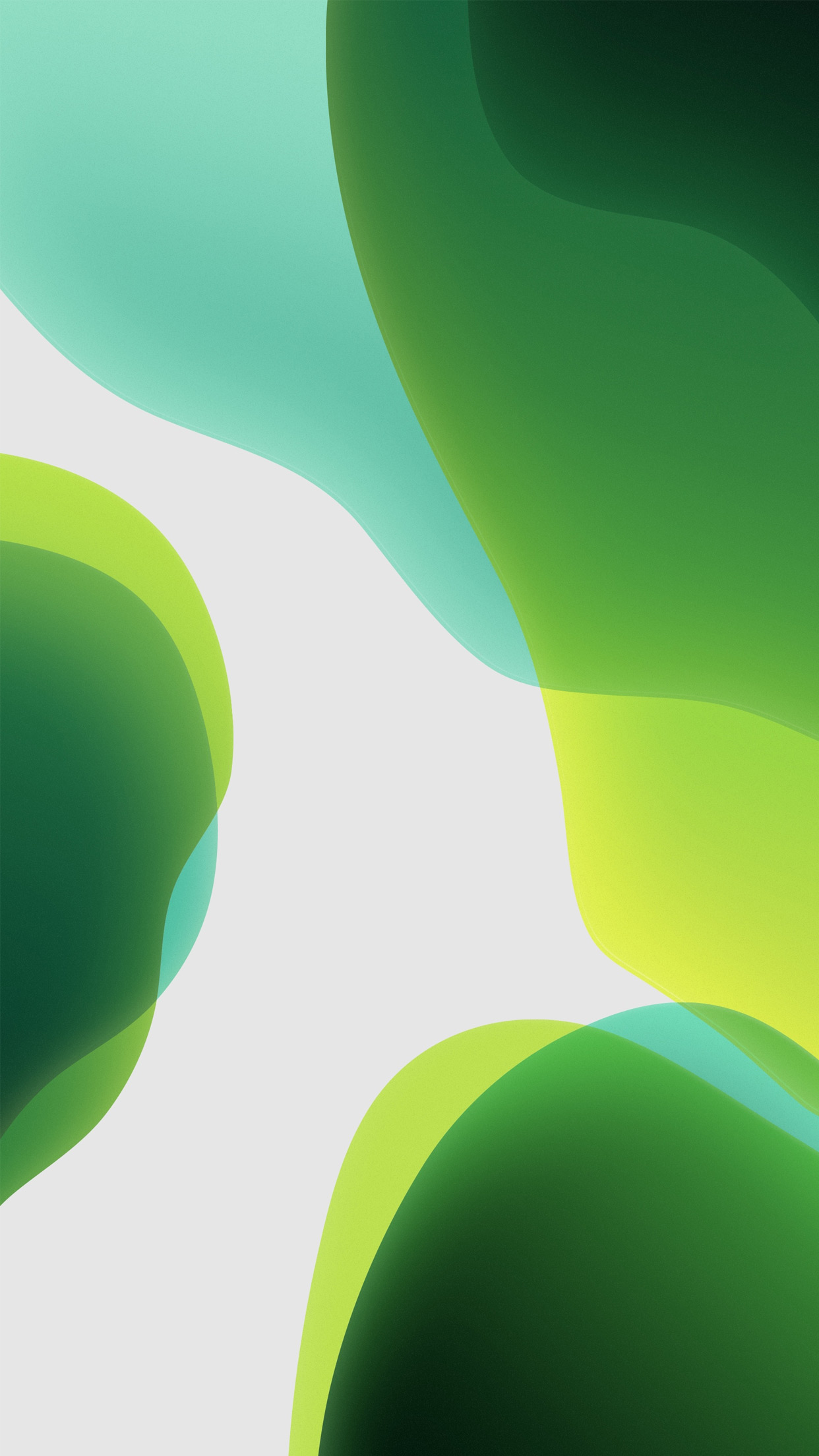 Ios 13 Green And White Wallpaper - Ios 13 Wallpaper 4k Iphone - 1242x2208  Wallpaper 