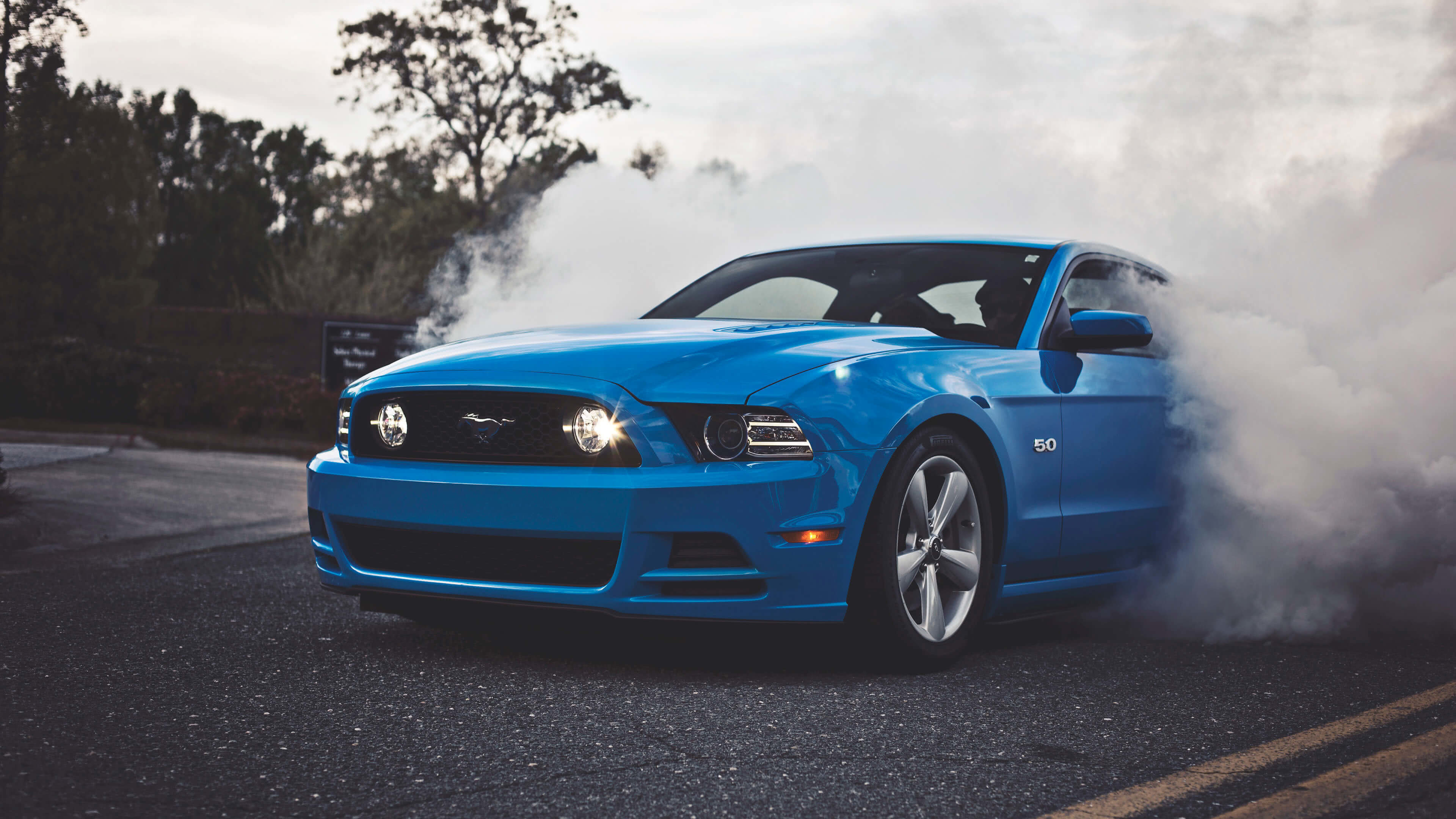 3840x2160, Blue Ford Shelby Mustang Uhd 4k Wallpaper - Mustang Wallpaper 4k - HD Wallpaper 