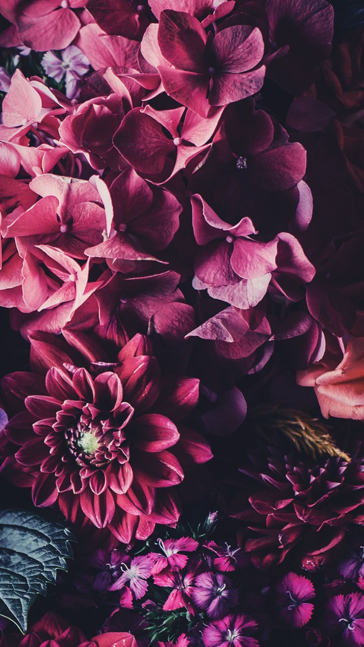 Floral Wallpaper For Android - HD Wallpaper 