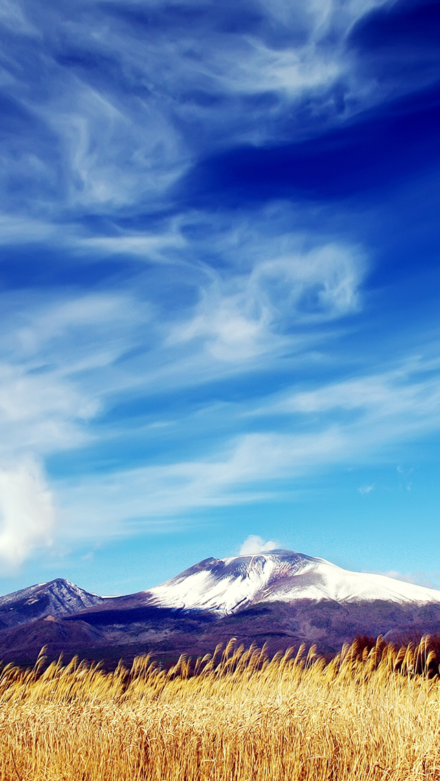 Mountain With Wheat Field - HD Wallpaper 