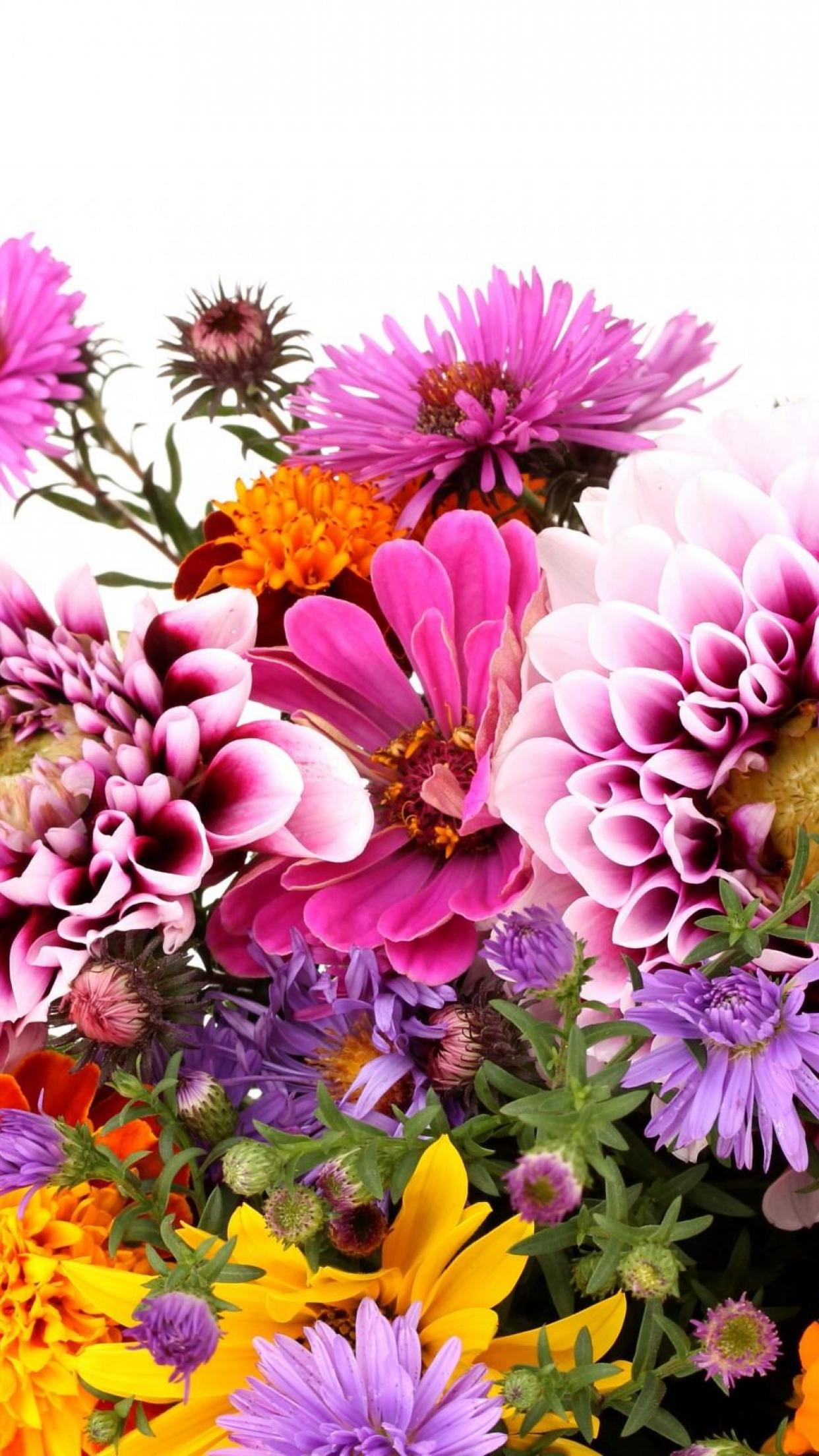 Flowers Floral Backgrounds - Floral Iphone Wallpaper Hd - 1242x2208 Wallpaper Flowers Floral Backgrounds - Floral Iphone Wallpaper Hd - 1242x2208 Wallpaper