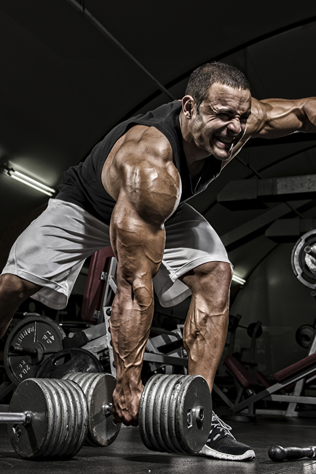 Hd Bodybuilding Wallpapers For Mobile - HD Wallpaper 