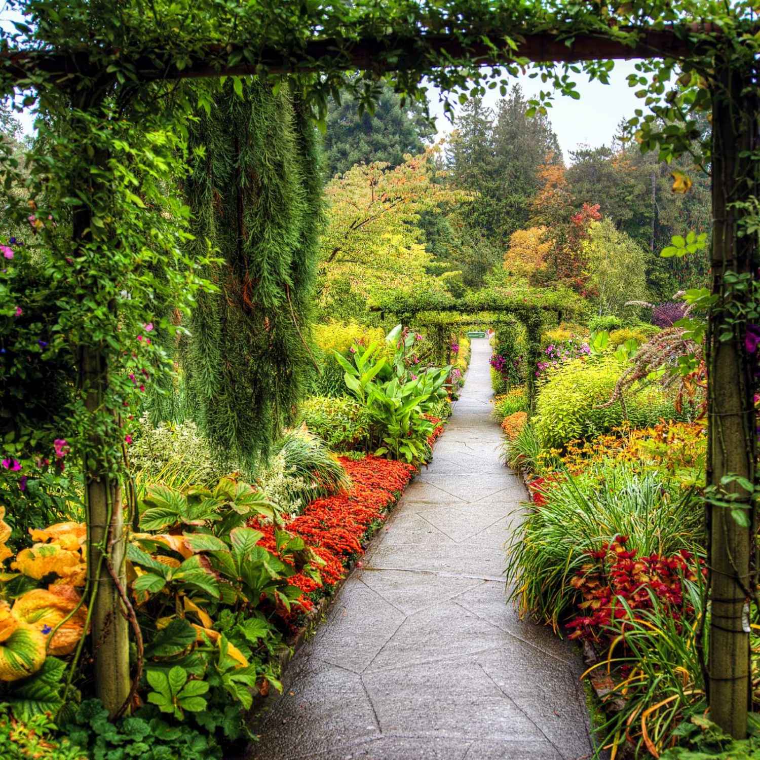 Size Garden Wallpaper Big Size Flower Garden Wallpaper - Big Size Wallpaper Hd - 1500x1500 Wallpaper Size Garden Wallpaper Big Size Flower Garden Wallpaper - Big Size Wallpaper Hd - 1500x1500 Wallpaper