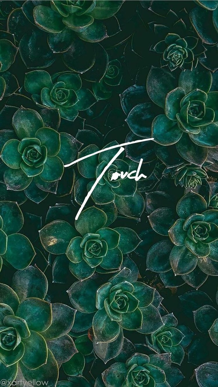 Wallpaper, Green, And Plants Image - Boho Wallpaper Iphone - HD Wallpaper 