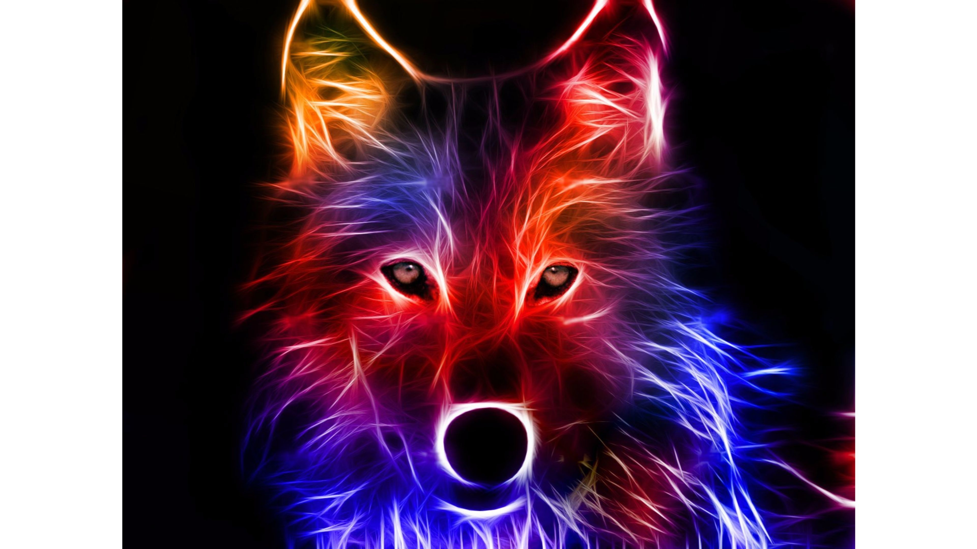 3840x2160, Colored Wolf 3d 4k Wallpaper - Wolf Wallpaper 3d - HD Wallpaper 