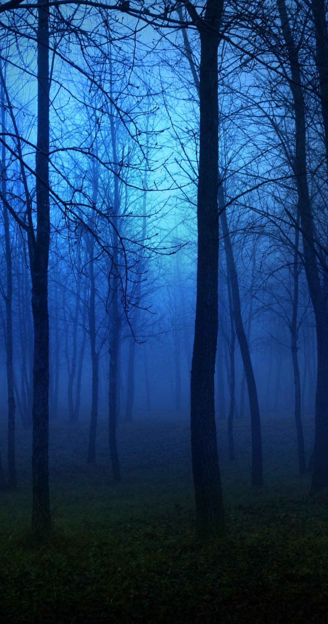 Natural Night Wallpaper Hd For Mobiles - HD Wallpaper 