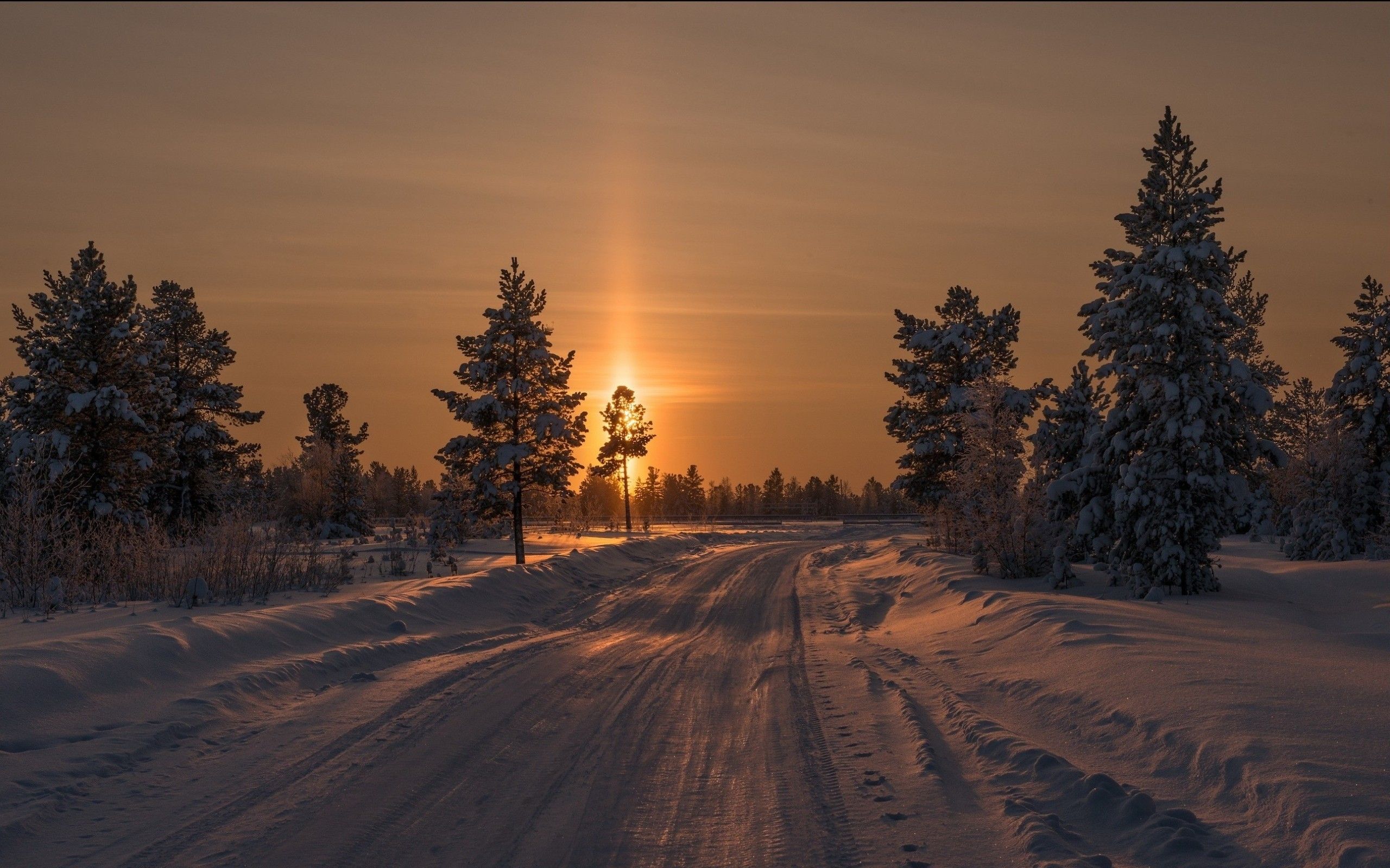 Trees Sunset Winter Snow Wallpaper Hd Iphone 6 For - Iphone Winter Wallpaper 2019 - HD Wallpaper 