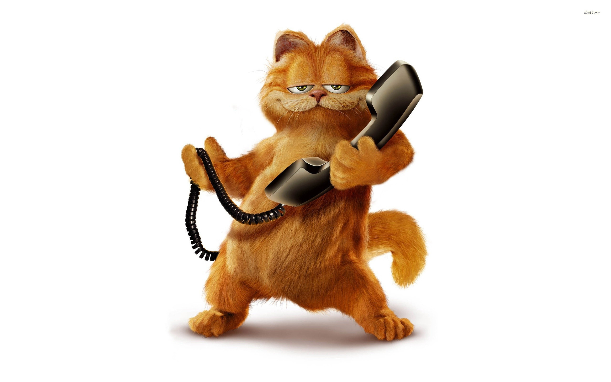 Garfield Wallpaper Download Download Garfield Wallpaper - Garfield - HD Wallpaper 