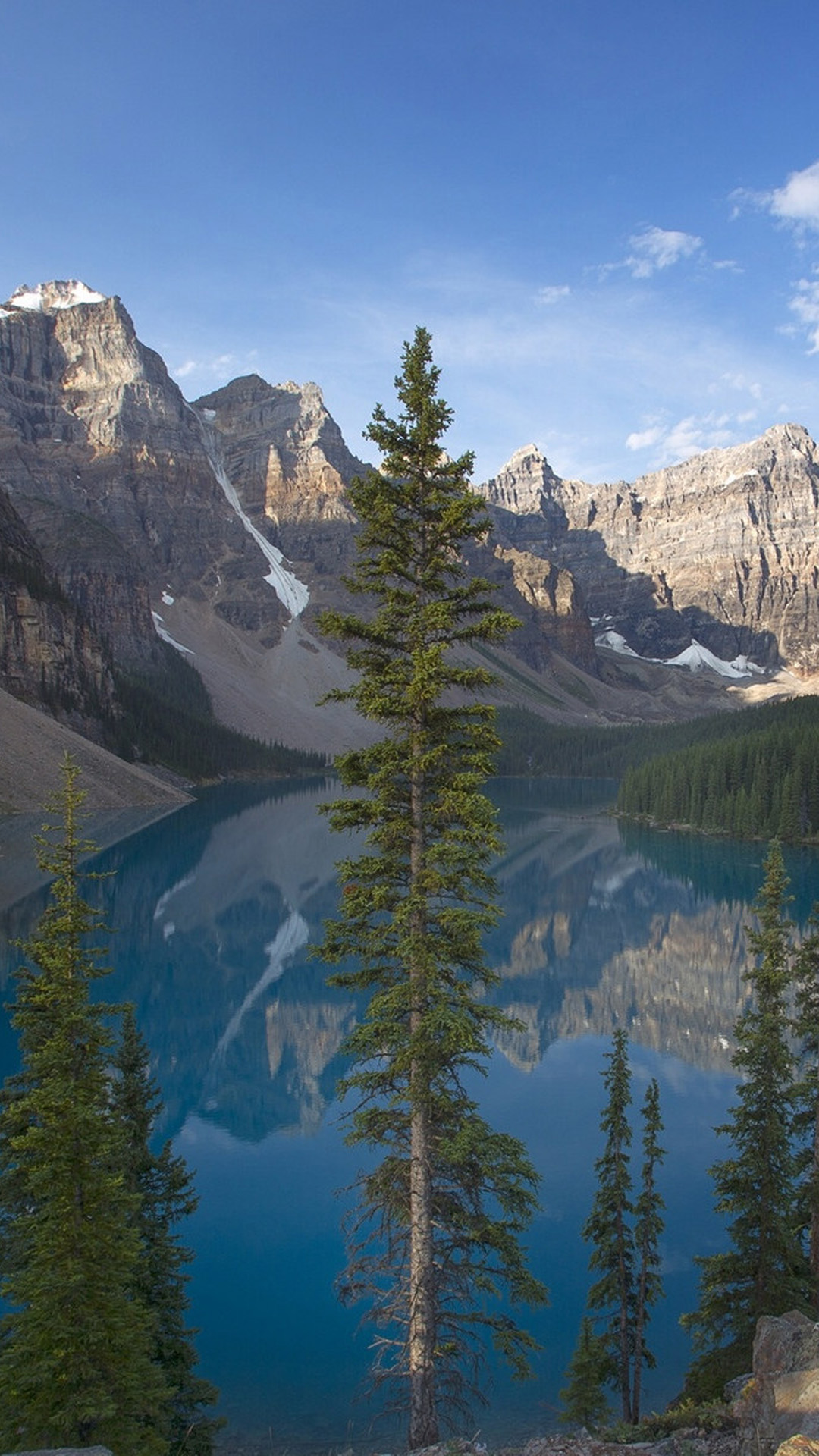 Pine Landscape Android Wallpaper - Moraine Lake - HD Wallpaper 