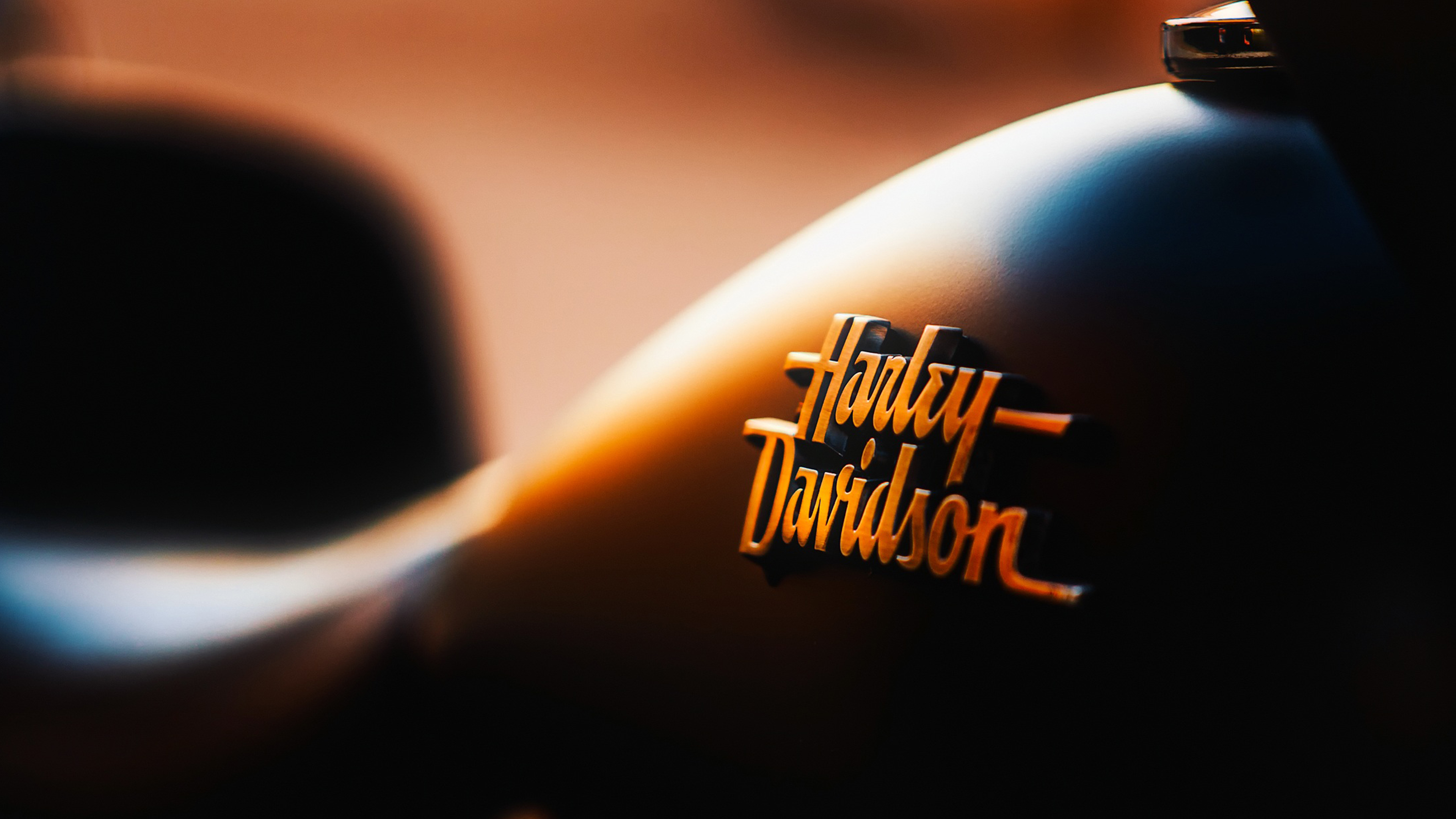 Harley Davidson Fire Logos - HD Wallpaper 