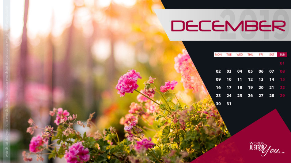 Hd December 2019 Calendar Desktop Wallpaper - Desktop Wallpaper November 2019 - HD Wallpaper 