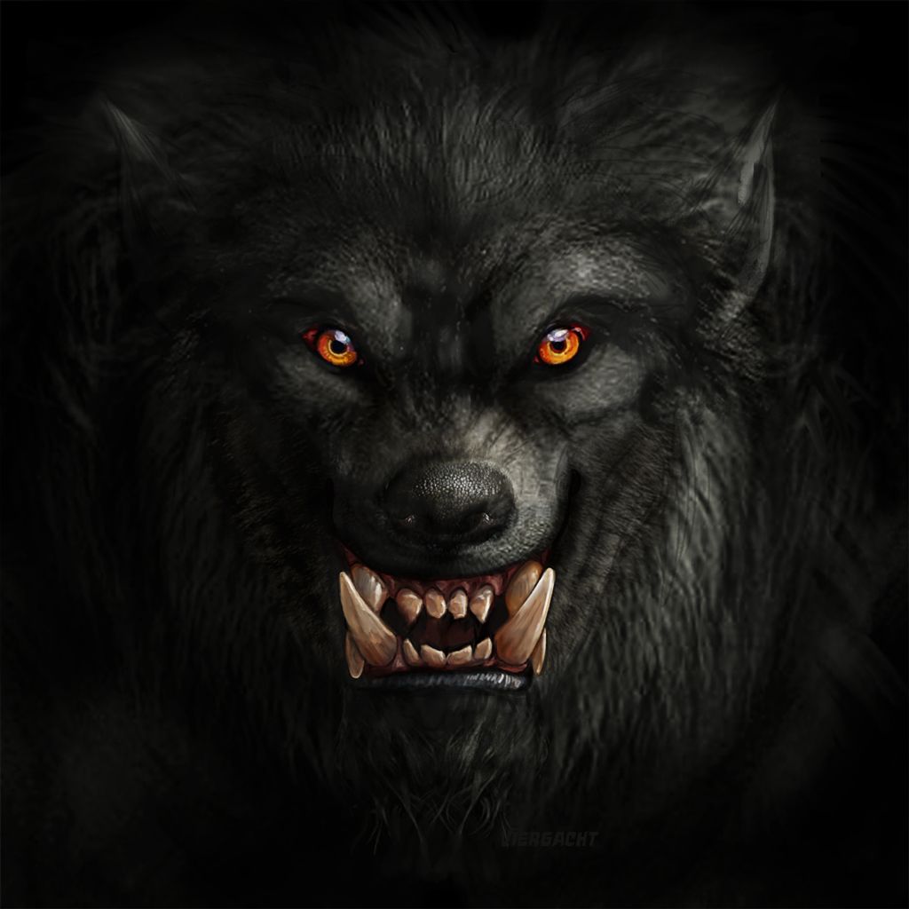 ☠hombre Lobo☠ - HD Wallpaper 