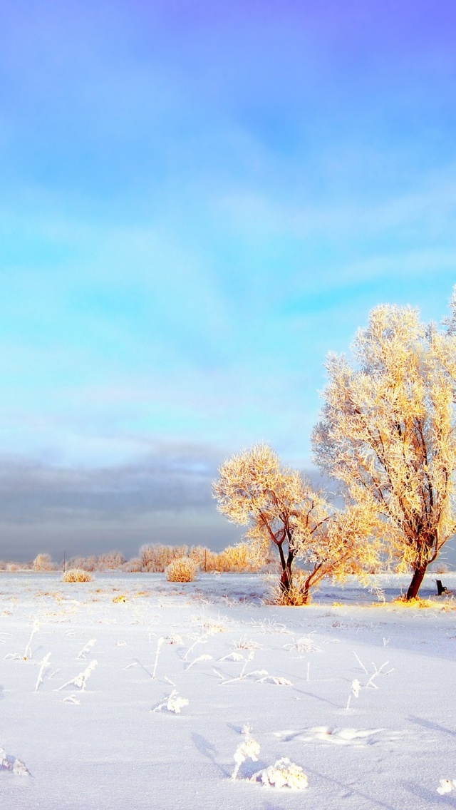 Winter Fields Wallpaper Iphone - HD Wallpaper 