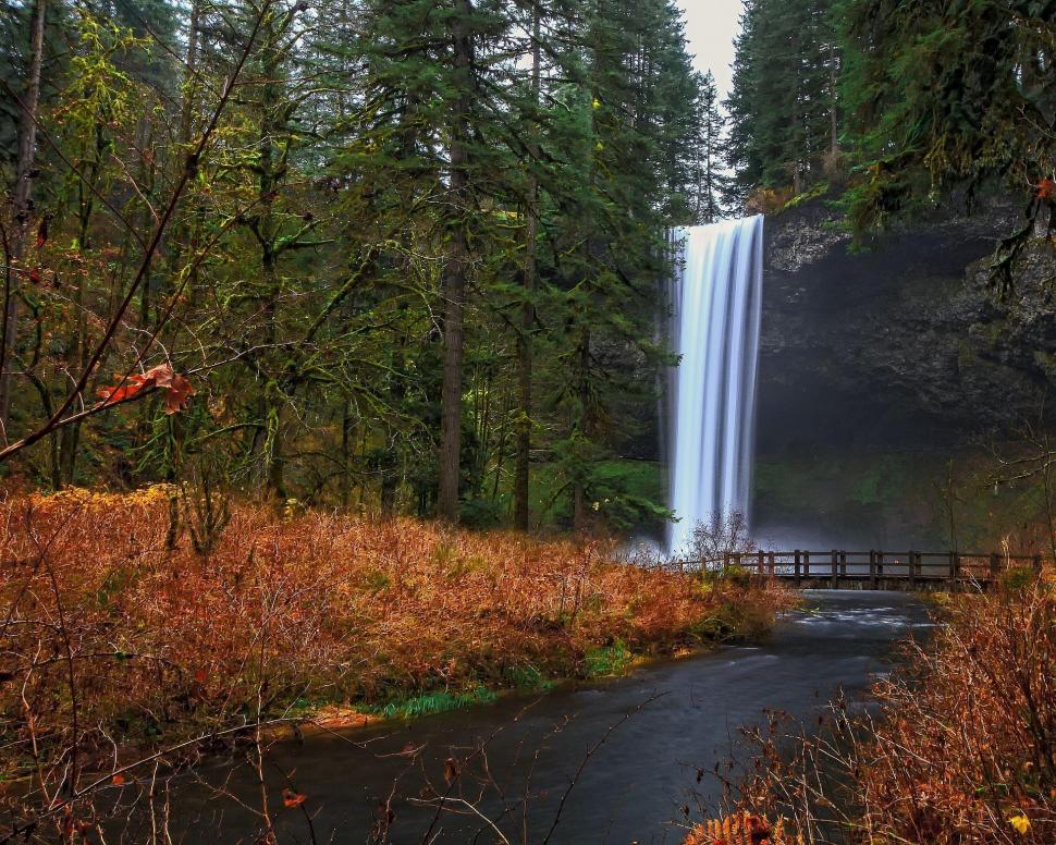 Forest Waterfall River Bridge Trees Landscape Iphone - Trees In Forest Waterfall - HD Wallpaper 