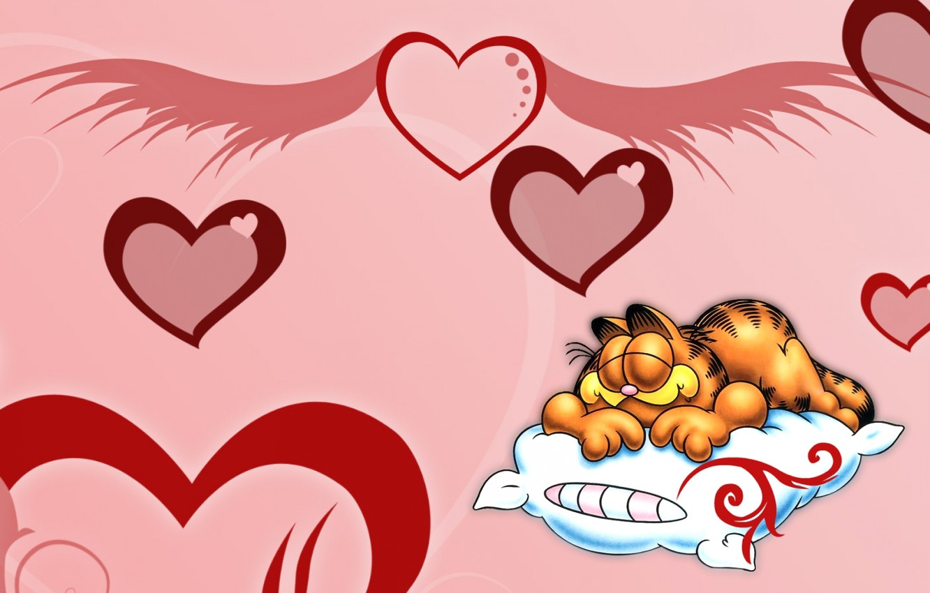 Photo Wallpaper Cat, Pillow, Garfield - Garfield - HD Wallpaper 