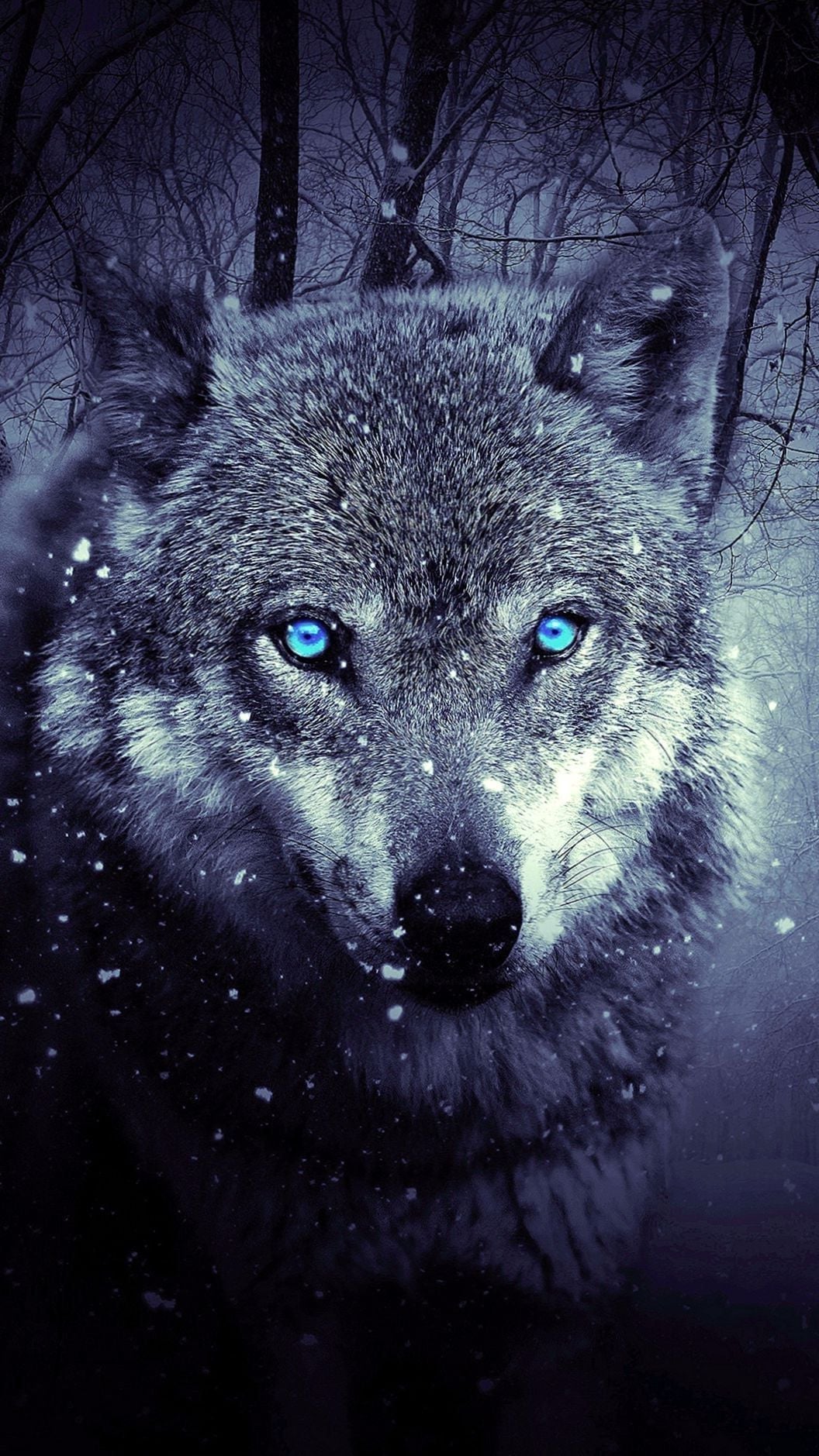 Iphone Wolf Wallpaper Hd - HD Wallpaper 