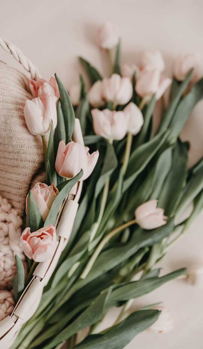 Ijohn 5 14 15 - HD Wallpaper 