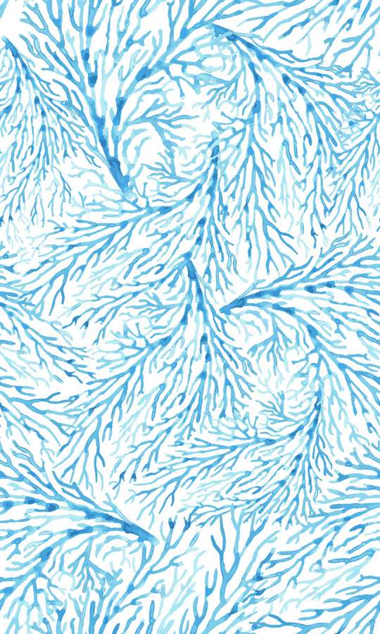 Coral Pattern Wallpaper Mural Blue Pattern On White - Visual Arts - HD Wallpaper 