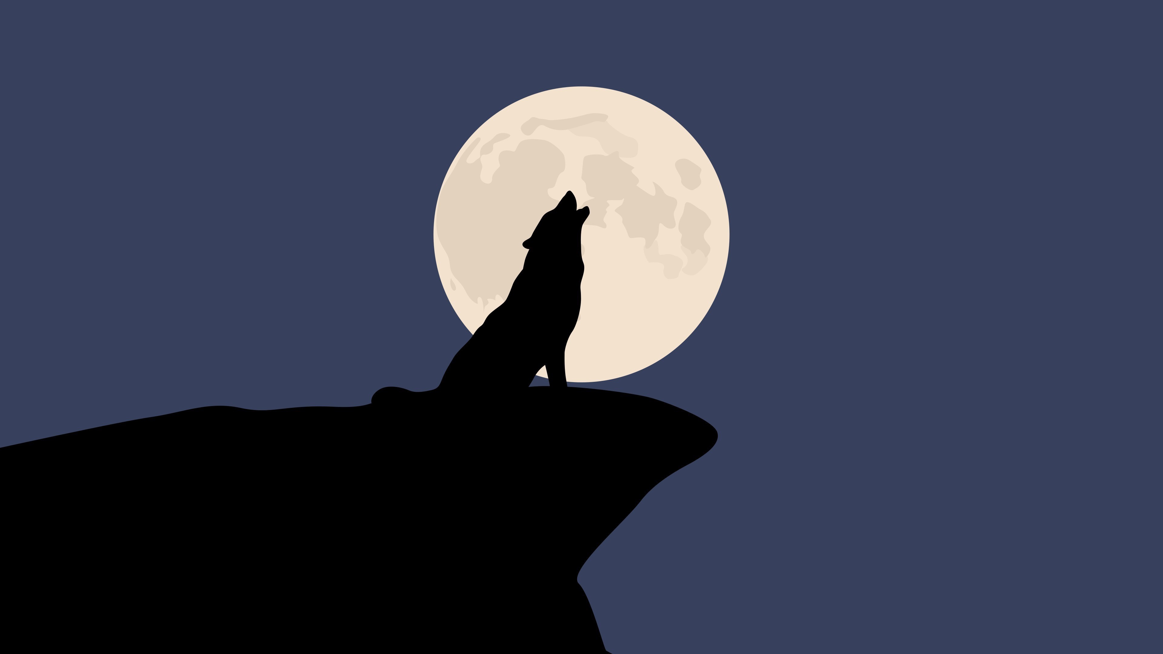 Wolf Wallpapers Hd - HD Wallpaper 