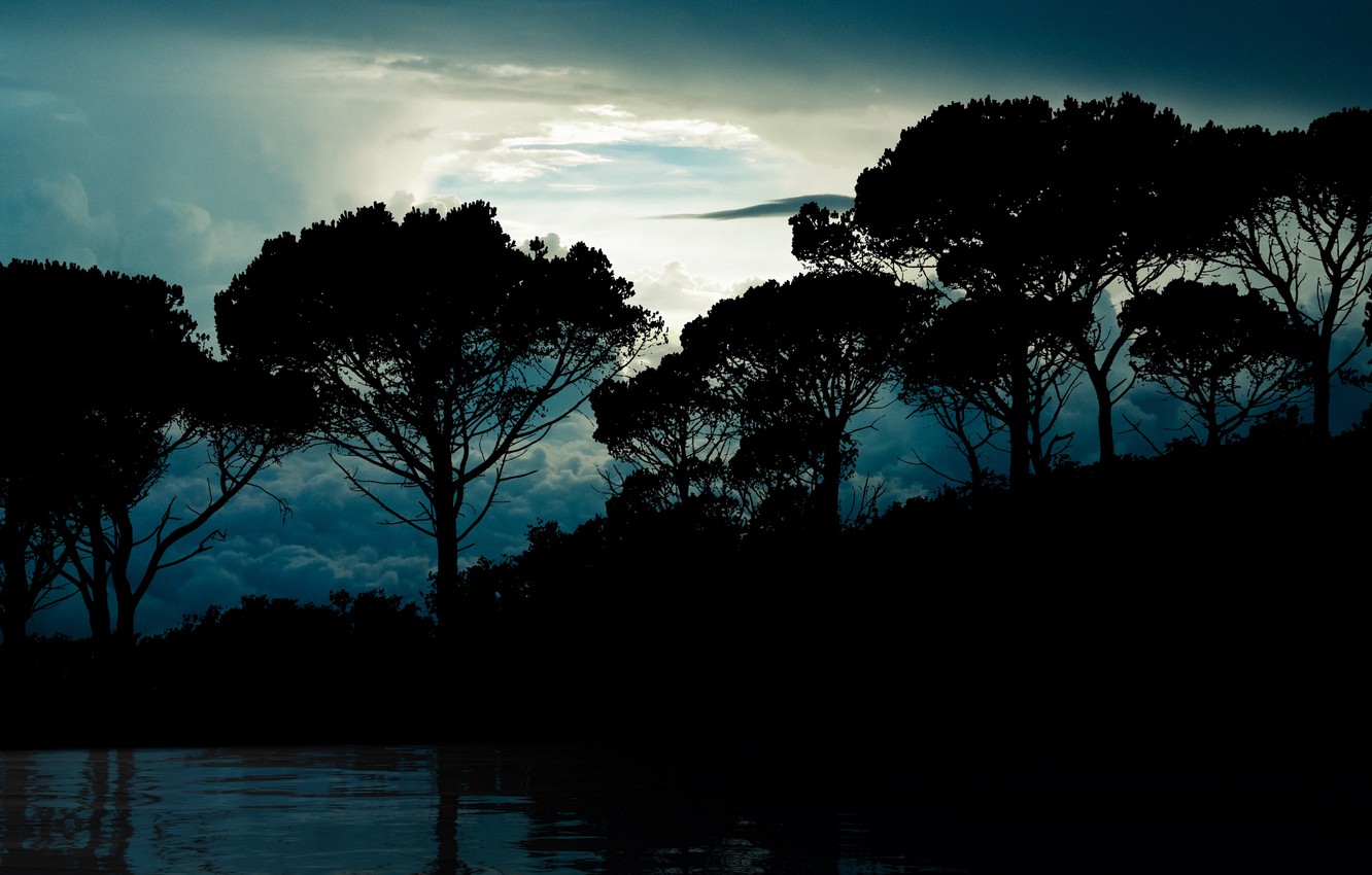 Photo Wallpaper Forest, Trees, Water, Night, Clouds, - Luna Del 17 De Junio 2019 - HD Wallpaper 