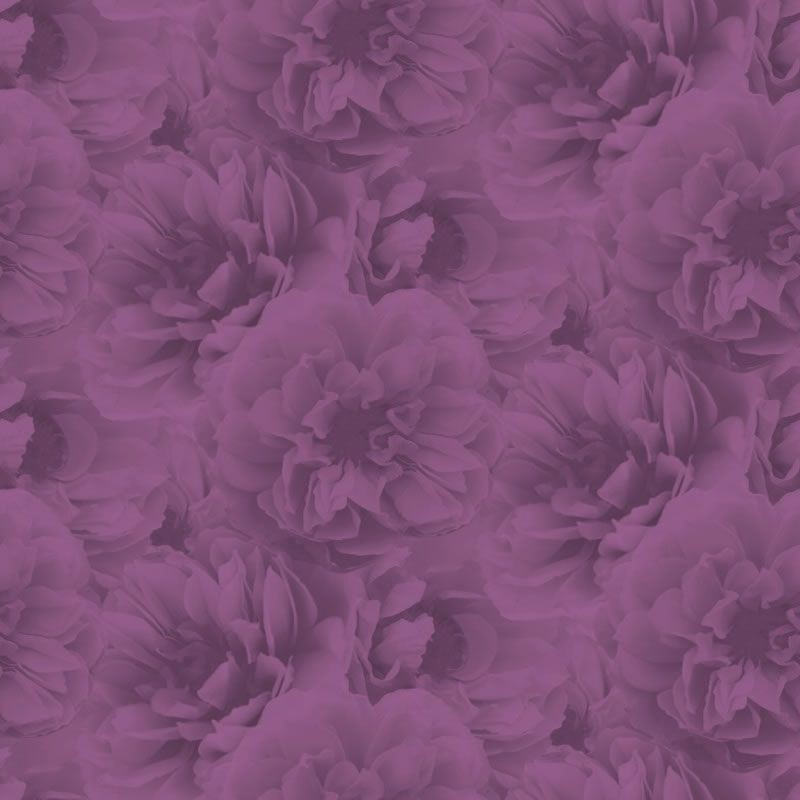 Plum Background - HD Wallpaper 