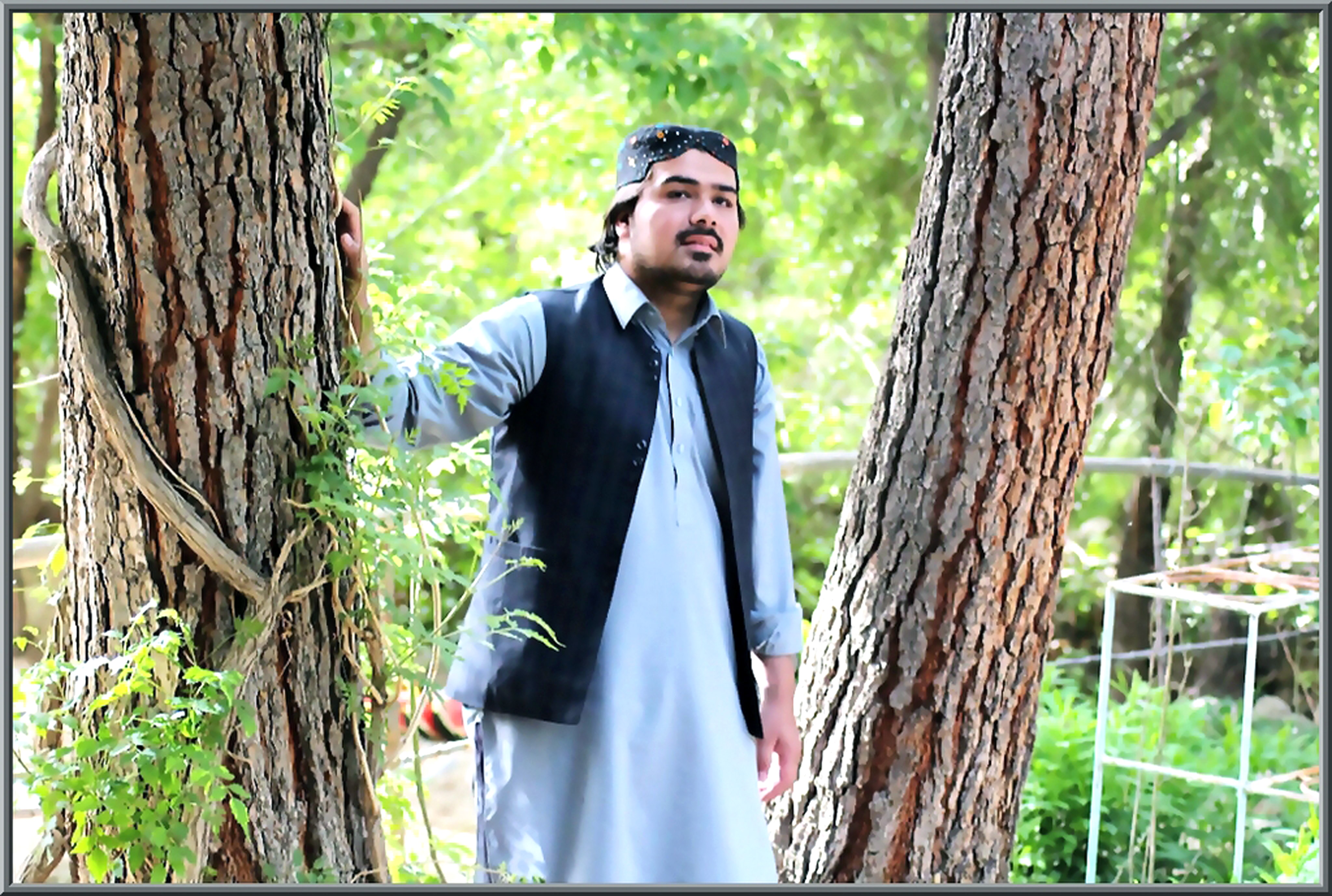 Old-growth Forest - HD Wallpaper 