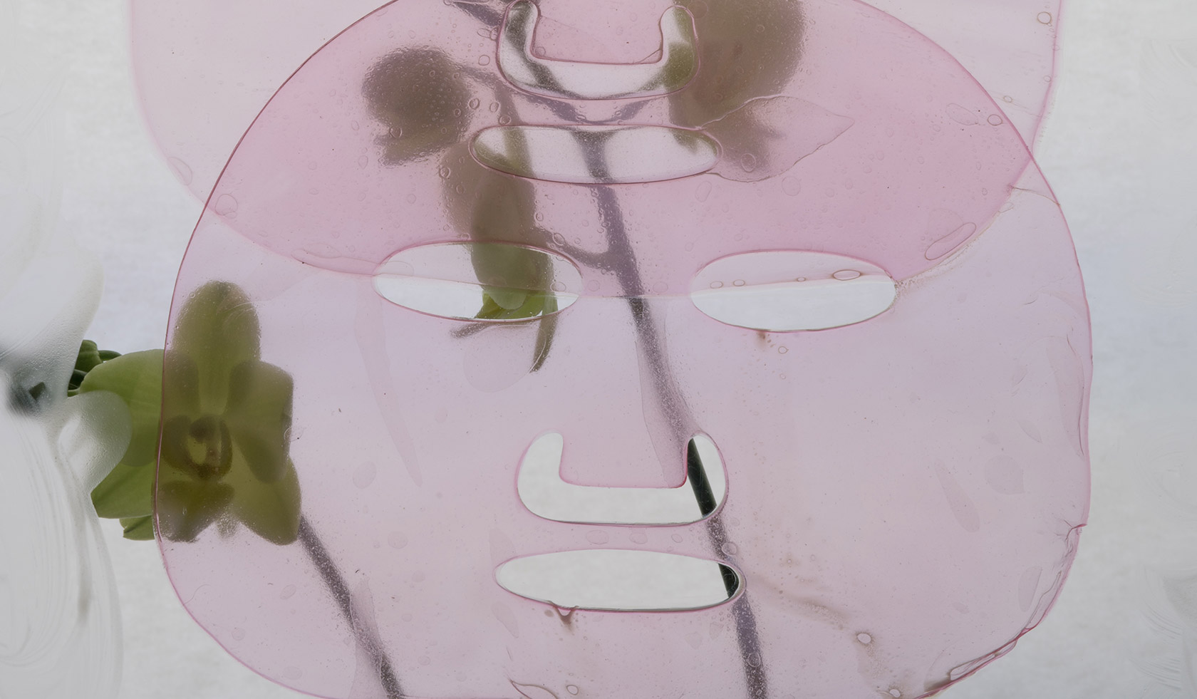 Nicolas Lobo Wellness Center - HD Wallpaper 