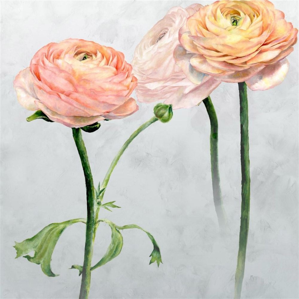 Tapet Designers Guild - HD Wallpaper 