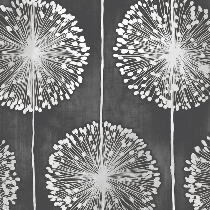 Black And White Wallpaper Dandelion - HD Wallpaper 