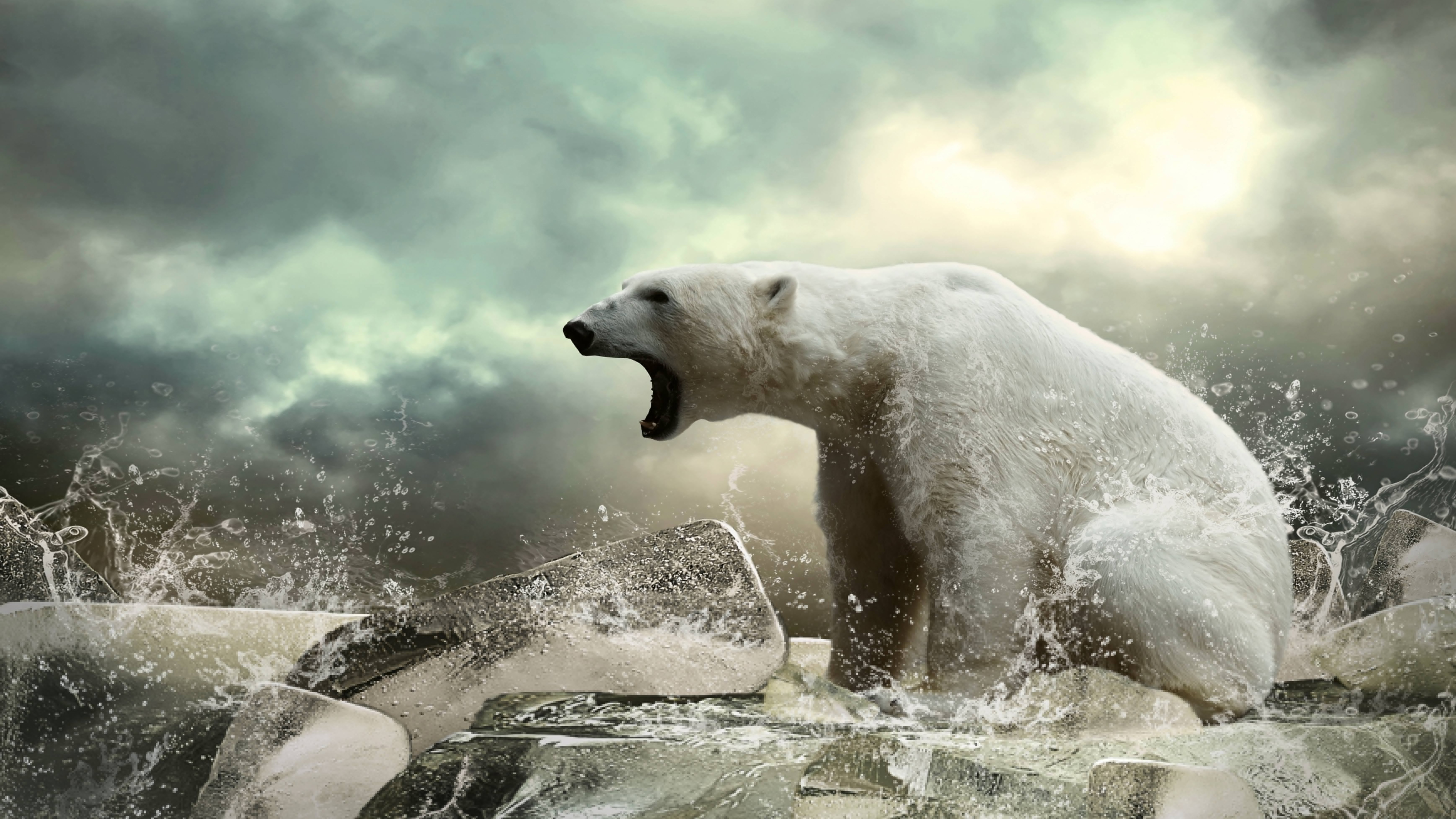 4k Windows 10 Wallpaper Mighty Polar Bear Animals - Polar Bear Beast - HD Wallpaper 