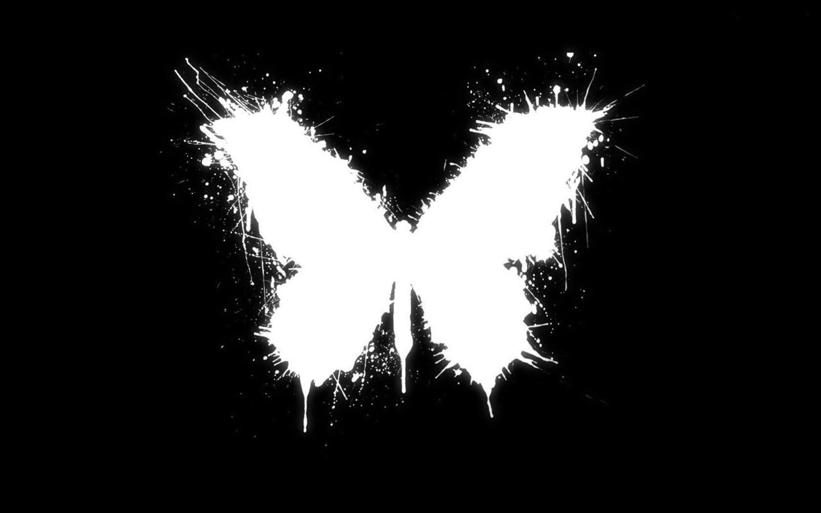 Butterfly Black Vector Design Hd Wallpapers - White Pictures With Black Background - HD Wallpaper 