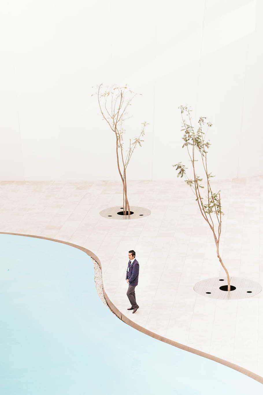 Man, Standing, Tree, Digital, Wallpaper, People, Alone, - HD Wallpaper 