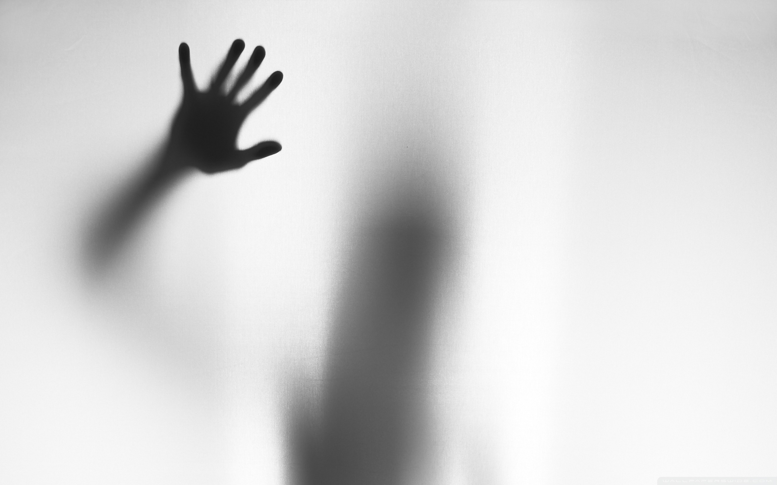 Silhouette Â¤ 4k Hd Desktop Wallpaper For 4k Ultra - White Hd Wallpaper Alone - HD Wallpaper 