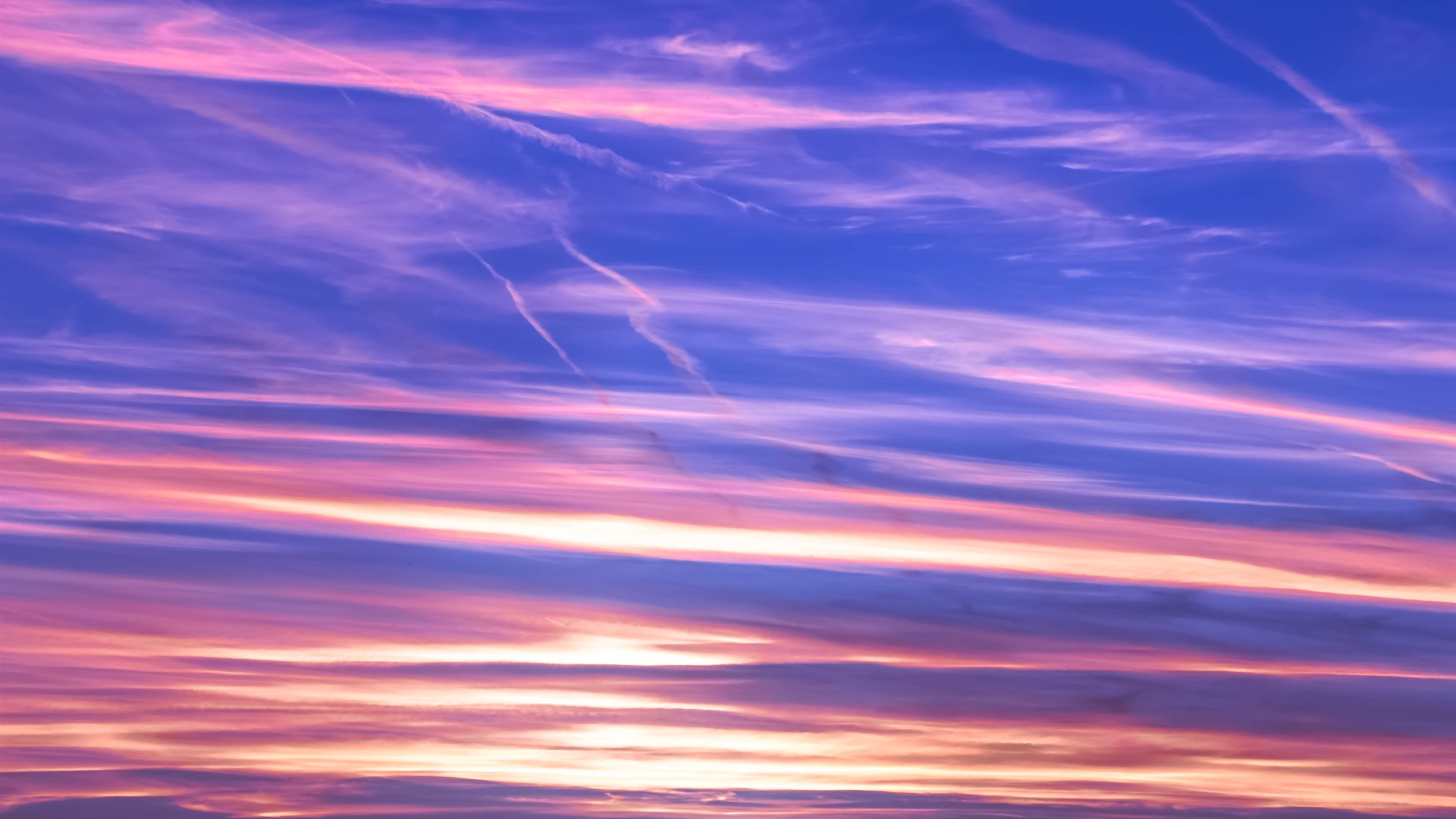 Wallpaper - HD Wallpaper 