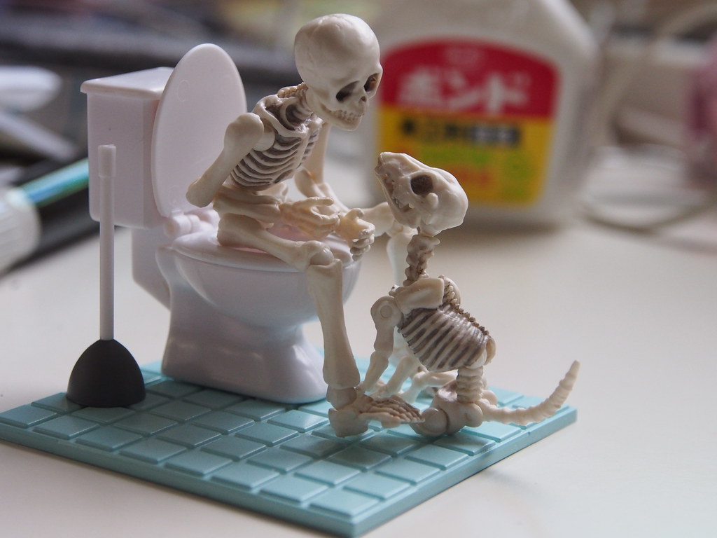 Skeleton - HD Wallpaper 