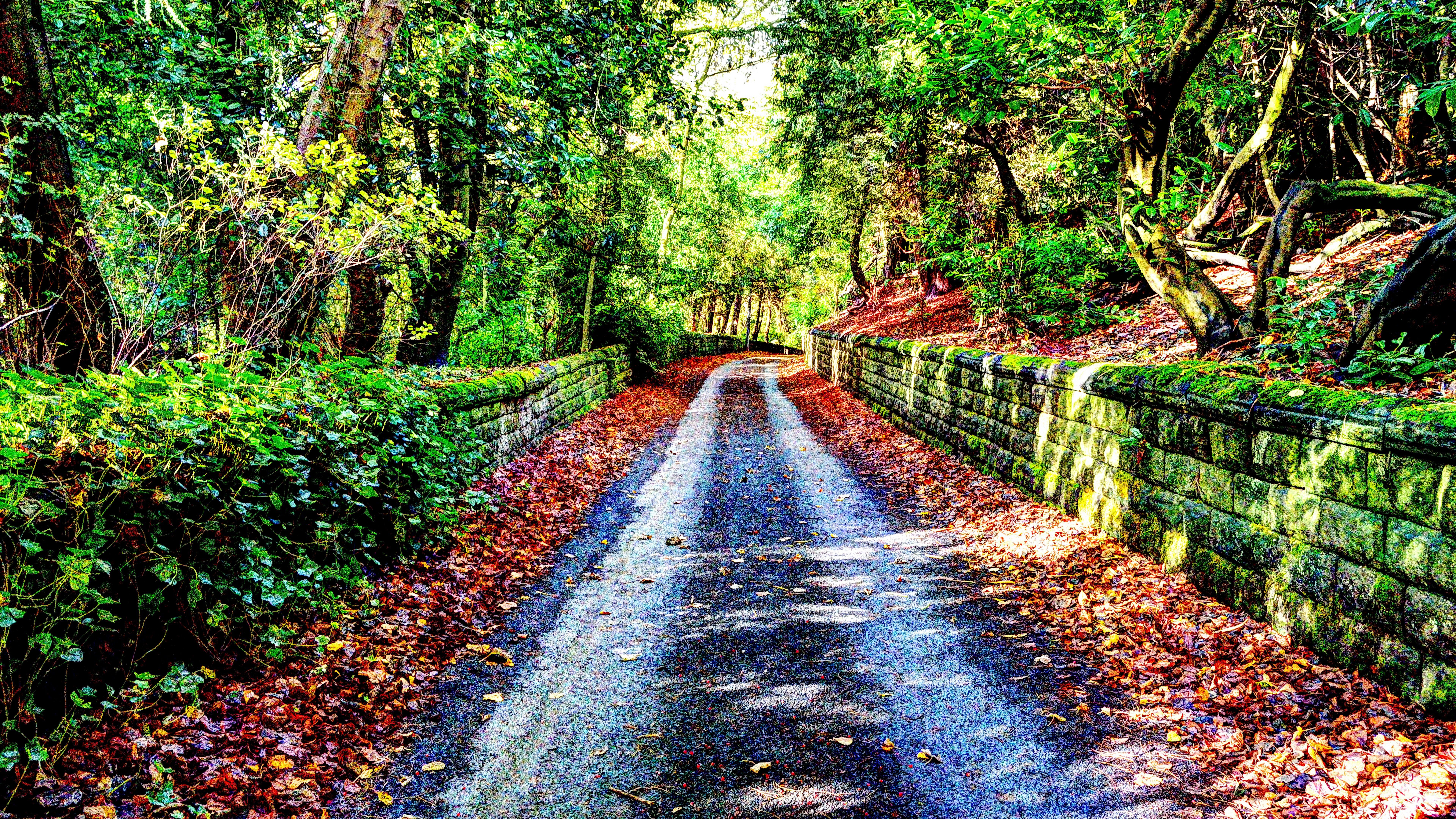 8k Resolution - HD Wallpaper 