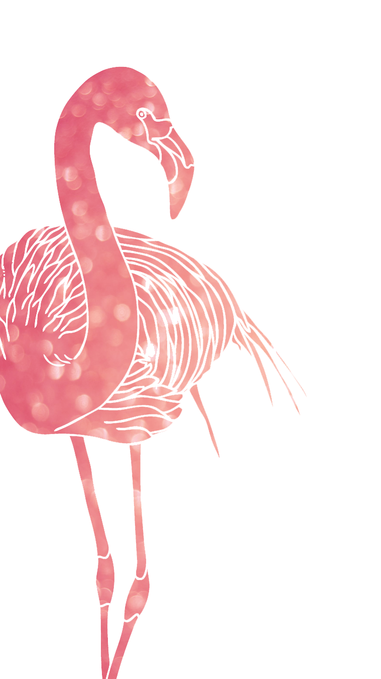 Flamingo Wallpaper For Phone - HD Wallpaper 