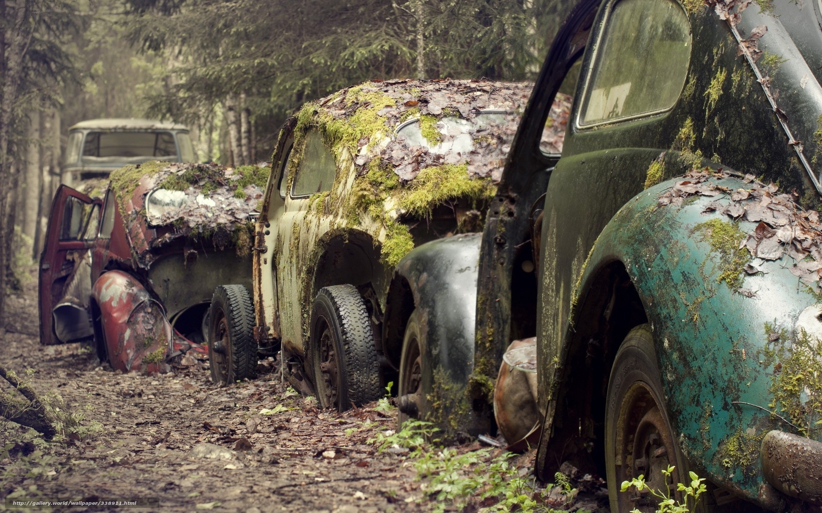 Download Wallpaper Machinery, Trash, Old, Cars Free - Abandoned Cars - HD Wallpaper 